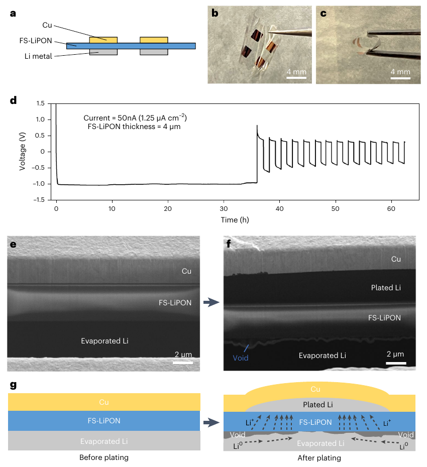 A free-standing LiPON cell, its plating and stripping voltage trace, and cross-sectional images before and after lithium deposition.